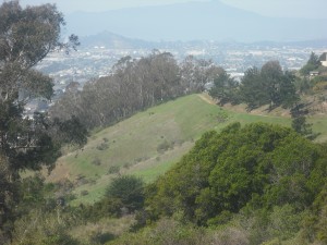 Motorycycle Hill