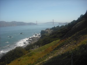 Yet another bridge view, though not from the ex-platform space near the eastern entrance.