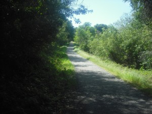 EmptyTrail