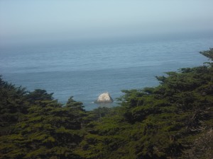 From the top of the steep stairs about halfway along the trail.