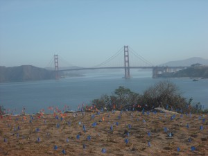 The Golden Gate Bridge, seen from the eastern end of Land's End trail.