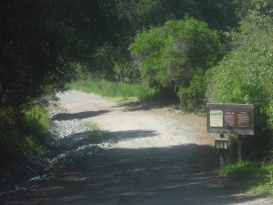 Near the trailhead for the Rifle Range Road entrance to Wildcat Canyon Park.