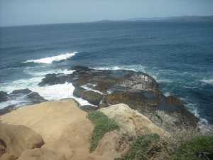 Tomales Point, at the very end of the Tomales Point Trail.