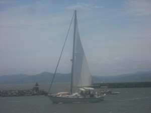 Sailors just off the Berkeley Marina.