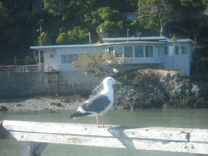 Park visitor perched on the pier, with beachside home in the background.