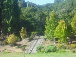 Stairs in the park, near the picnic area.