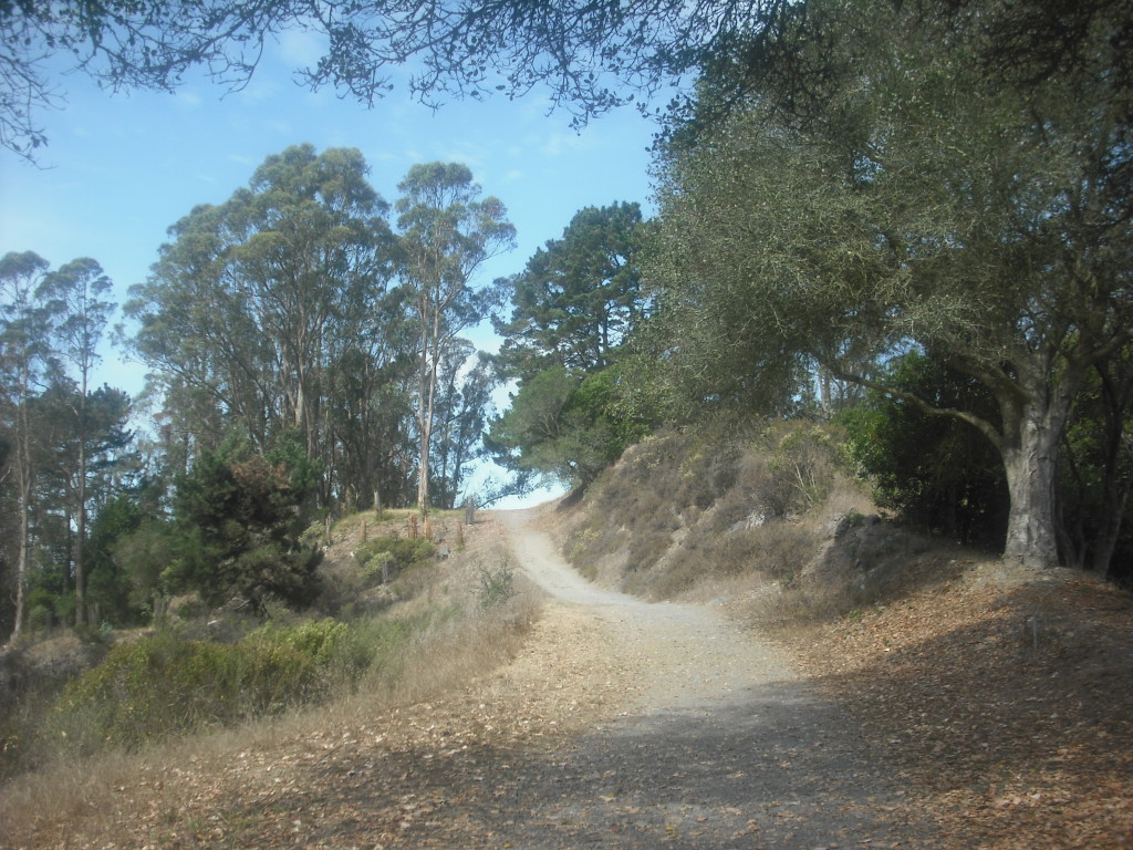 Hiking in the El Cerrito Hills, Part 3 Folkrocks