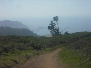 Ocean view from Sweeney Ridge Trail.