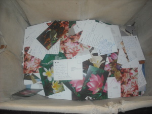 Laundry basket of postcards filled out by visitors to the exhibition.