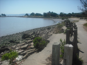 One of many bayside views at Candlestick Point.