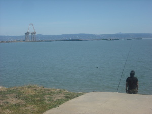 The crane in the background is one of numerous industrial structures that can be seen from various spots in Candlestick Point.