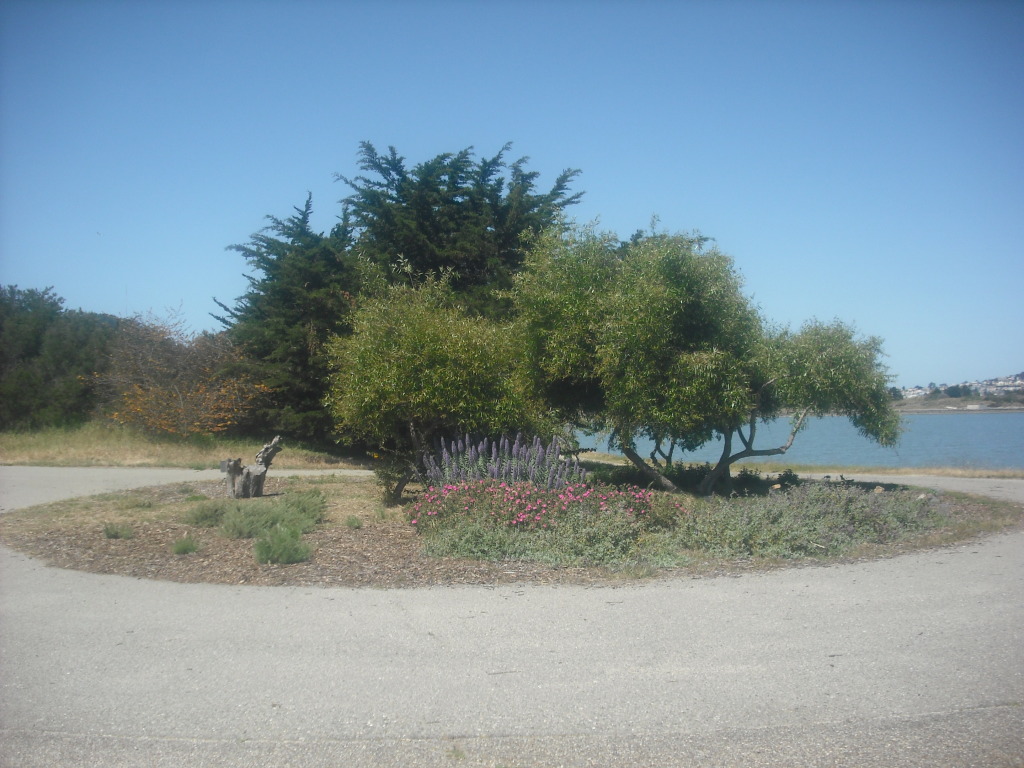 Candlestick Park & the Candlestick Point Recreation Area Folkrocks