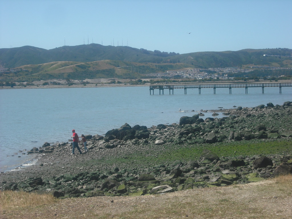 Candlestick Park & the Candlestick Point Recreation Area Folkrocks