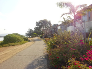 Biking the bayside trail on Bay Farm Island.