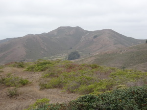 Typically semi-mountainous terrain on the inland part of the trail to Rodeo Beach.