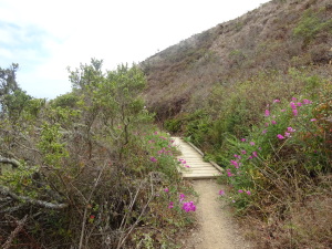 Small bridge near beginning of trail.