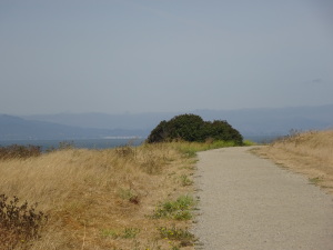 Pier and paths in Pinole.