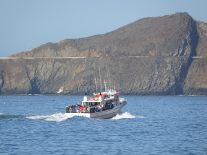 Pleasure boat goes by the beach.