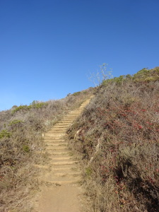 The trail back to the parking lot.