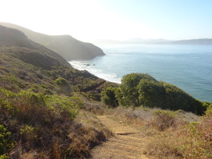 The trail down to Black Sands Beach.