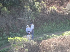 HIkers near the bottom of the Summit Loop trail.