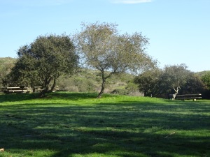 Picnic area near the park entrance.