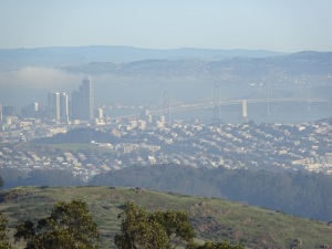 Part of the downtown San Francisco skyline and the Bay Bridge, as seen from San Bruno Mountain.