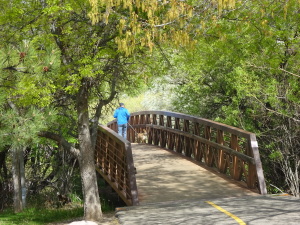 Bridge near the western end of the trail.