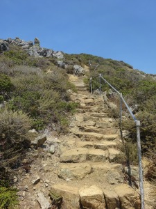 Steep stairs leading up to the highest point on the Coastal Trail.