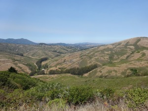 Mountainous vista near the intersection of the Coastal Trail and the Wolf Ridge Trail.