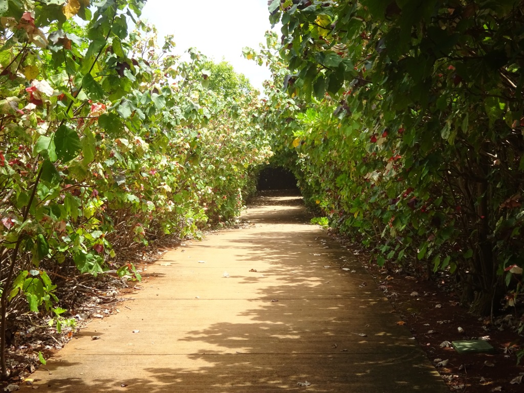 Short shaded inland detour off the main bike path, at its northern end.