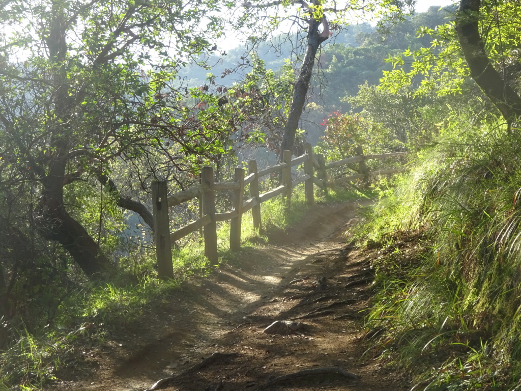 On the Shoreline Trail in China Camp.