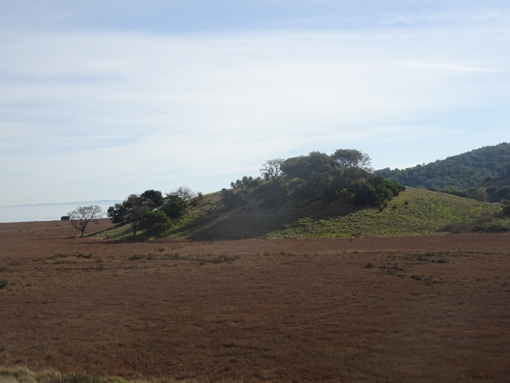 Hill to the east of Turtle Back Trail.