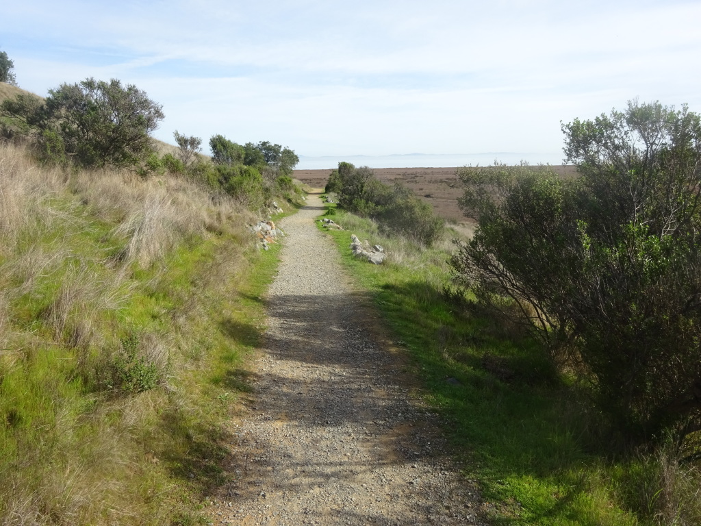 Turtle Hill Trail path.
